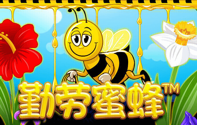 恒信彩票welcome